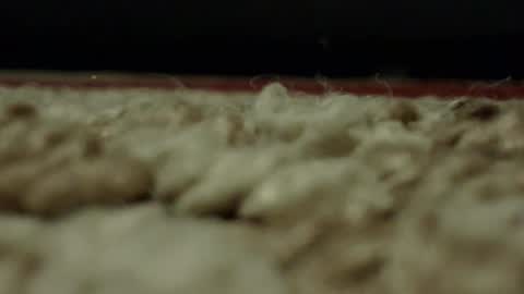 Mmmmgood online show from February 24, 2025, 1:57 am