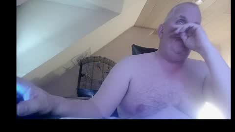 Snapshot of doggy2629 chatting on April 25, 2026, 5:54 pm doggy2629 online show from April 25, 2026, 5:54 pm