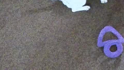 Niki Doll online show from October 29, 2025, 10:06 am