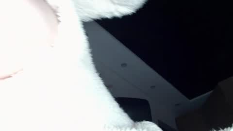 Snapshot of dolly_sun chatting on December 20, 2024, 11:54 am ILONA online show from December 20, 2024, 11:54 am