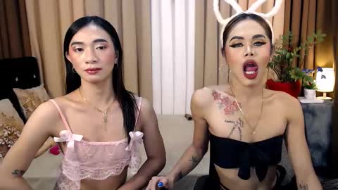 Dominantsky online show from February 8, 2025, 7:16 pm