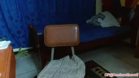 Snapshot of dominantthewolf chatting on May 11, 2026, 5:46 am Logan - INDEPENDET MODEL online show from May 11, 2026, 5:46 am