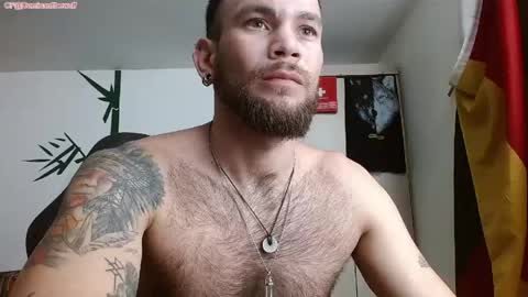 Snapshot of dominantthewolf chatting on May 11, 2026, 11:57 pm Logan - INDEPENDET MODEL online show from May 11, 2026, 11:57 pm