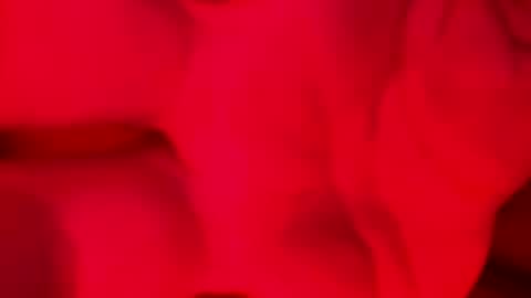 Alzest online show from November 17, 2025, 2:06 am