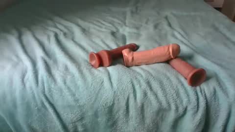 Alzest online show from November 30, 2025, 9:02 am