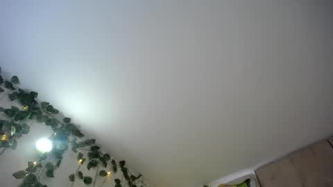dominic_sofia online show from June 18, 2026, 12:09 pm