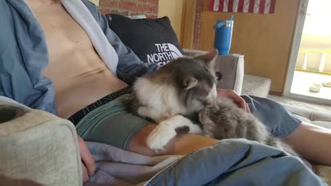 dommepleasemistress online show from March 22, 2026, 5:05 pm