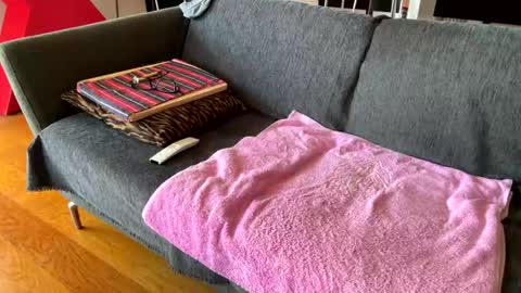 Alfredo online show from April 7, 2026, 10:37 am