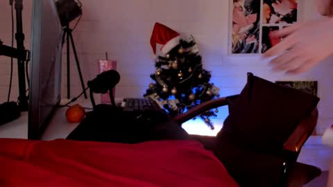    Next stream November 24    online show from December 14, 2024, 3:36 pm