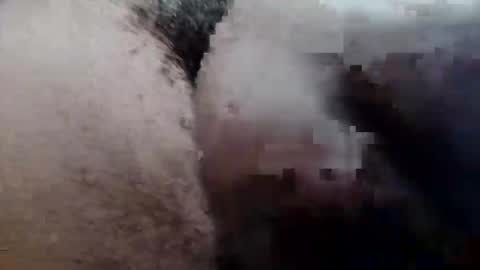 MrPirated online show from September 29, 2025, 3:28 pm