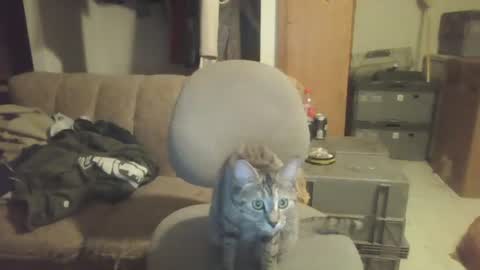 drac2009 online show from January 28, 2025, 5:11 am