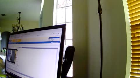 Dragonsita online show from November 6, 2025, 7:04 pm