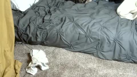 Snapshot of dreadedted chatting on February 13, 2026, 4:58 pm Dreadedted online show from February 13, 2026, 4:58 pm