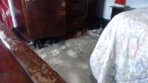 dreamreal online show from December 28, 2024, 9:52 am