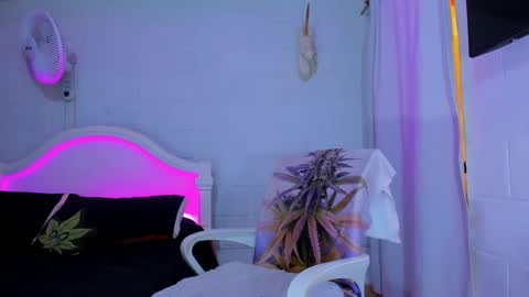 Snapshot of drippyorlove chatting on September 17, 2025, 8:21 pm drippyorlove online show from September 17, 2025, 8:21 pm