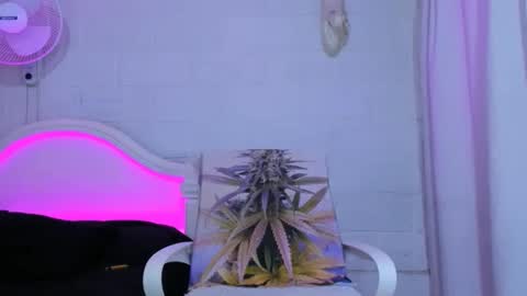 Snapshot of drippyorlove chatting on November 5, 2025, 8:31 pm drippyorlove online show from November 5, 2025, 8:31 pm