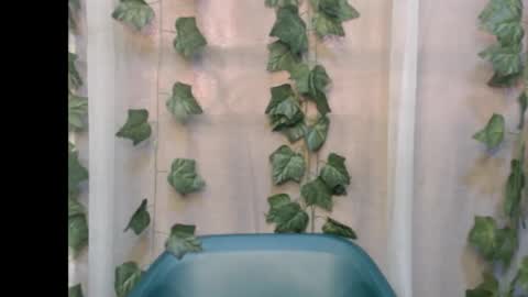 linda online show from September 13, 2025, 12:27 pm