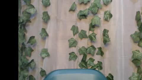 linda online show from September 14, 2025, 8:08 pm