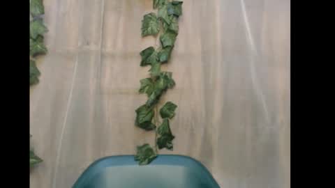 linda online show from December 15, 2025, 10:52 am