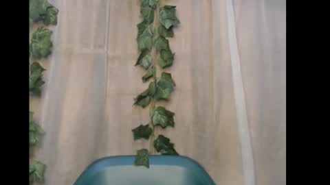 linda online show from January 10, 2026, 5:37 pm