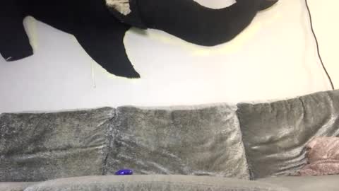 Snapshot of drobbb656 chatting on February 8, 2026, 3:21 am 2xTheTrouble online show from February 8, 2026, 3:21 am