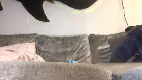 Snapshot of drobbb656 chatting on February 26, 2026, 1:26 am 2xTheTrouble online show from February 26, 2026, 1:26 am