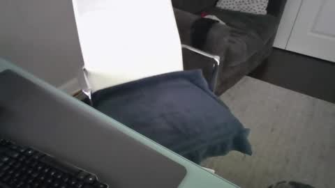 Snapshot of ds689655 chatting on September 26, 2025, 8:24 pm ds689655 online show from September 26, 2025, 8:24 pm