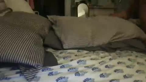 dtficecream online show from December 17, 2025, 11:22 pm