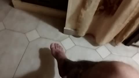 Snapshot of dthedog12 chatting on September 23, 2025, 9:51 pm dthedog12 online show from September 23, 2025, 9:51 pm