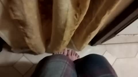 Snapshot of dthedog12 chatting on October 8, 2025, 9:12 pm dthedog12 online show from October 8, 2025, 9:12 pm