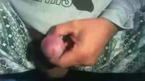 Snapshot of dude_13 chatting on October 16, 2025, 4:13 am dude_13 online show from October 16, 2025, 4:13 am