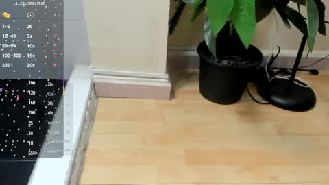 dulce__fiore07 online show from November 28, 2025, 11:46 am