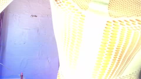 Snapshot of dulce_smith02 chatting on March 22, 2026, 12:47 am dulce_smith02 online show from March 22, 2026, 12:47 am