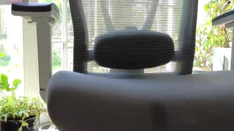 hotdick40 online show from May 18, 2026, 1:50 pm