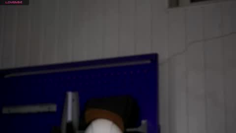 Dustyn online show from November 23, 2025, 3:34 pm