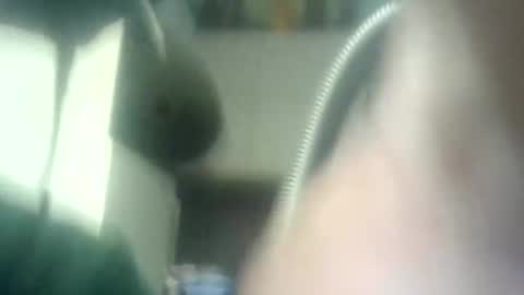 Snapshot of dutchboym chatting on April 9, 2026, 5:51 am dutchboym online show from April 9, 2026, 5:51 am