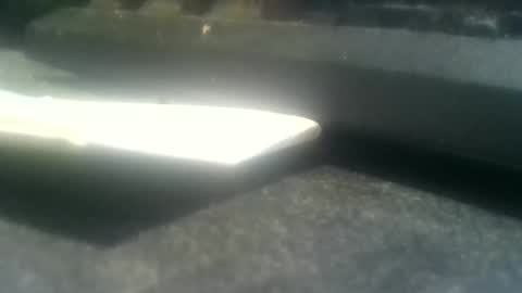 Snapshot of dutchboym chatting on April 9, 2026, 6:19 am dutchboym online show from April 9, 2026, 6:19 am