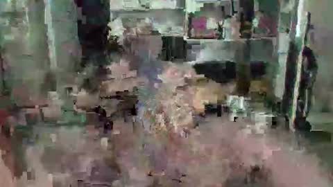 Snapshot of eagleye46 chatting on December 9, 2024, 4:47 pm eagleye46 online show from December 9, 2024, 4:47 pm