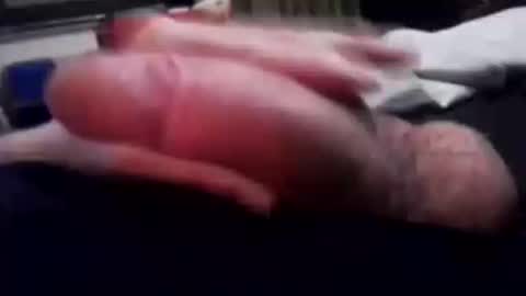 eatpussyuntilligetabj online show from December 19, 2025, 9:38 am