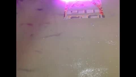 eatuupx online show from December 19, 2025, 3:41 pm