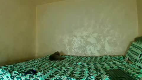 Nomyx  OF check online show from November 14, 2025, 5:55 pm