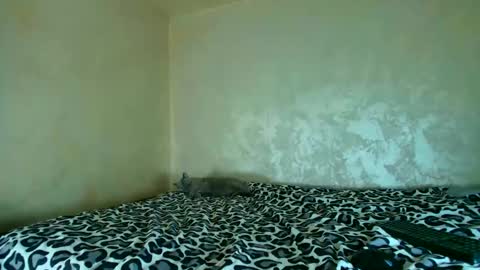 Nomyx  OF check online show from November 20, 2025, 5:23 pm