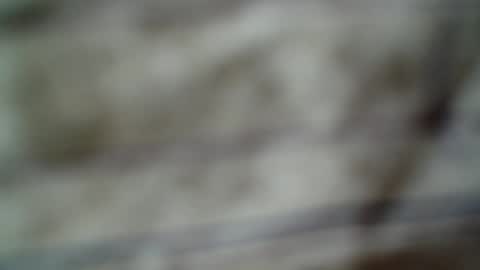 eddfox001 online show from June 14, 2026, 4:47 am