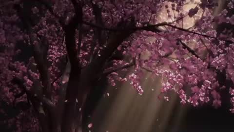 EdenArcadia online show from June 25, 2026, 5:12 am