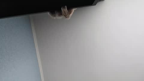 edithmanning online show from March 13, 2026, 5:47 am