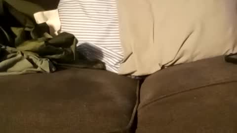 edmore1215 online show from December 11, 2024, 3:37 pm