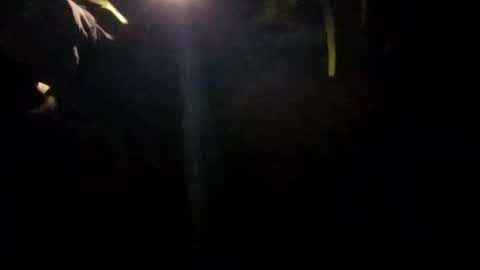 edmore1215 online show from January 14, 2025, 10:17 am