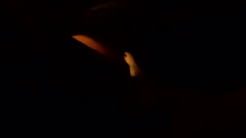 edmore1215 online show from February 10, 2025, 5:36 am