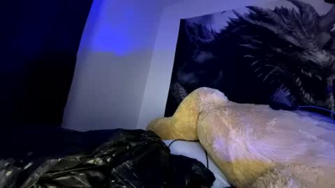 Snapshot of edvmendez1766 chatting on September 23, 2025, 10:07 am edvmendez1766 online show from September 23, 2025, 10:07 am