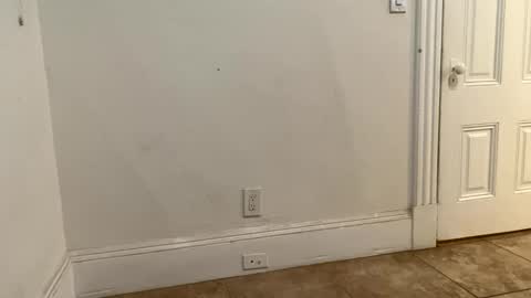 edvmendez1766 online show from November 18, 2025, 3:23 am